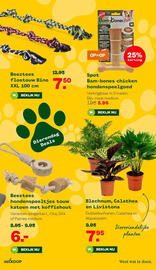 Welkoop folder week 40 Pagina 7