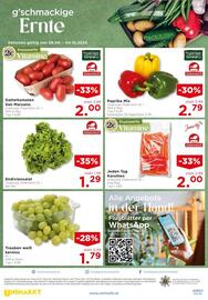 Unimarkt Flugblatt Seite 18