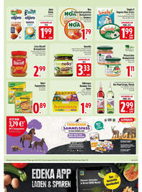 Edeka Prospekt woche 40 Seite 19