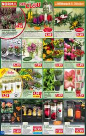 Norma Prospekt woche 41 Seite 12
