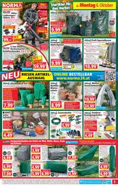 Norma Prospekt woche 41 Seite 3