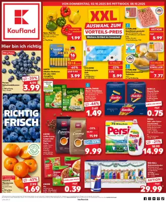 Kaufland Prospekt (gültig bis 8-10)