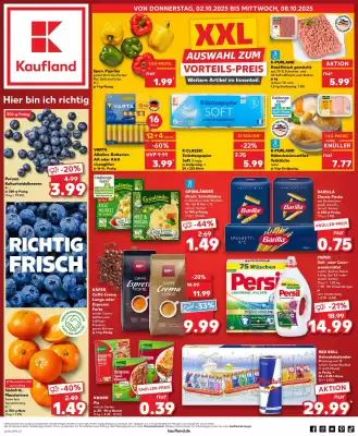 Kaufland Prospekt (gültig bis 8-10)