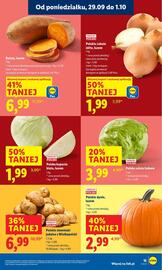 Lidl gazetka Strona 17