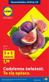 Lidl gazetka Strona 19