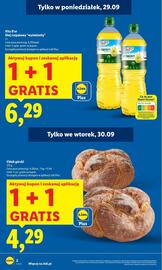 Lidl gazetka Strona 2