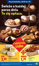 Lidl gazetka Strona 21