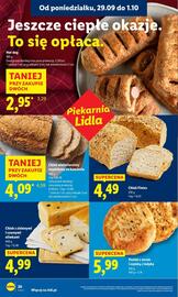 Lidl gazetka Strona 22