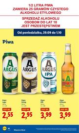 Lidl gazetka Strona 44