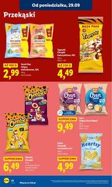 Lidl gazetka Strona 46