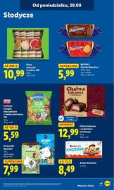 Lidl gazetka Strona 49