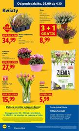 Lidl gazetka Strona 66