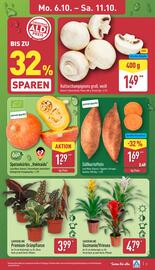 Aldi Nord Prospekt woche 41 Seite 3