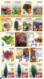 CENTERSHOP Prospekt woche 40 Seite 10
