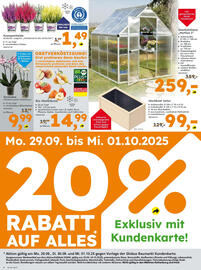 Globus Baumarkt Prospekt Seite 6