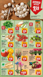 REWE Prospekt woche 40 Seite 11