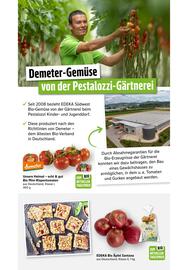 Scheck-in-Center Prospekt woche 40 Seite 44