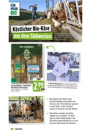 Scheck-in-Center Prospekt woche 40 Seite 51