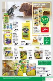 BayWa Prospekt woche 40 Seite 19