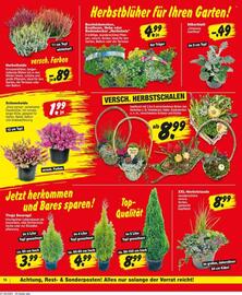 Repo Markt Prospekt woche 40 Seite 17