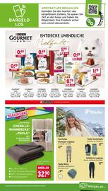 Wasgau Prospekt woche 40 Seite 25