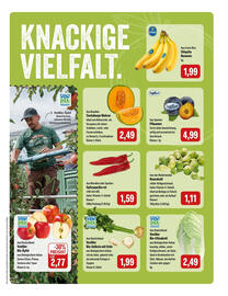 Feneberg Prospekt Seite 5