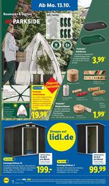 Lidl Prospekt woche 42 Seite 8
