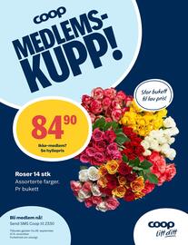 Coop Prix kundeavis uke 40 Side 10
