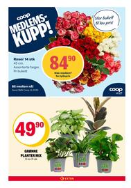 Coop Extra kundeavis uke 40 Side 24