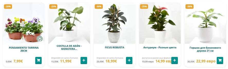 Catálogo Verdecora Página 1