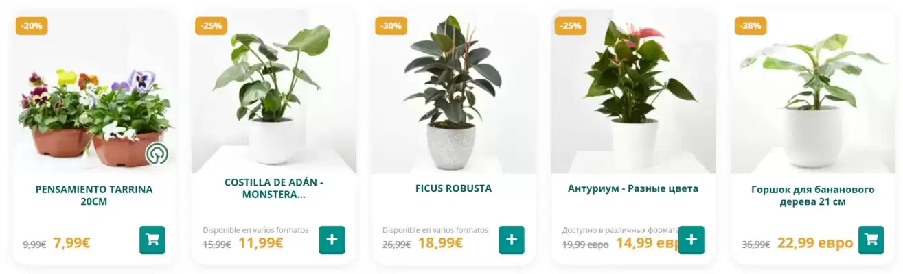 Catálogo Verdecora (válido hasta el 11-10)