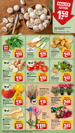 REWE Prospekt woche 40 Seite 11