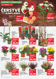 Kaufland leták týden 40 Strana 14
