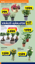 ALDI akciós újság hét 40 Oldal 8
