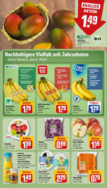 REWE Prospekt woche 40 Seite 10