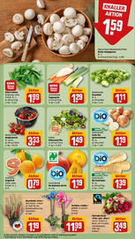 REWE Prospekt woche 40 Seite 11
