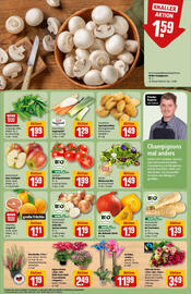 REWE Prospekt woche 40 Seite 13