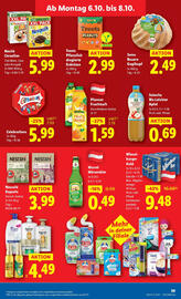 Lidl Flugblatt woche 40 Seite 41