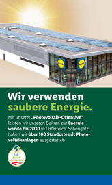 Lidl Flugblatt woche 40 Seite 43