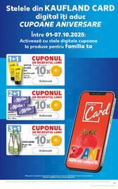 Catalog Kaufland săptămâna 40 Pagină 13