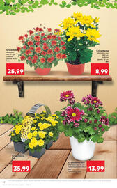 Catalog Kaufland săptămâna 40 Pagină 22
