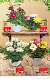 Catalog Kaufland săptămâna 40 Pagină 23