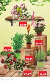 Catalog Kaufland săptămâna 40 Pagină 24