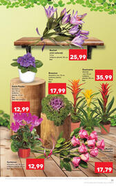 Catalog Kaufland săptămâna 40 Pagină 25