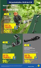Lidl gazetka tydzień 40 Strona 31