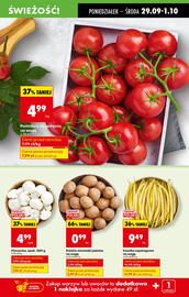 Biedronka gazetka tydzień 40 Strona 15