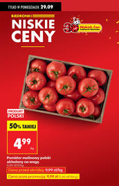 Biedronka gazetka tydzień 40 Strona 7