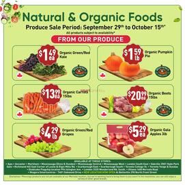 Healthy Planet flyer Page 5