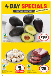 IGA catalogue Page 2