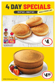 IGA catalogue Page 3